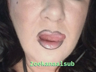 Zoekanaalsub